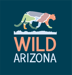 WILDAZ